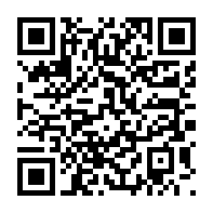 PAYPAL QR